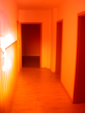 Flur mit Blick auf die Haust&uuml;r